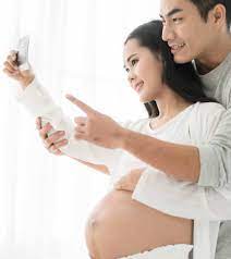 Harnessing the Power of Traditional Chinese Medicine (TCM) for Pregnancy in Singapore