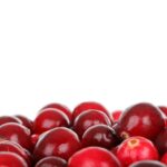 The Role of Agricultural Extension Agents