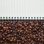 The Role of Data in Cricket Performance Enhancement