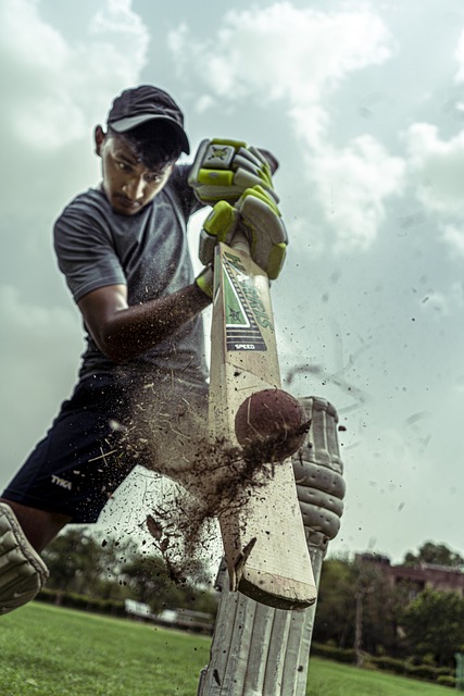 Sustainable Practices in Cricket Ground Management