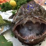 How to Choose the Right Shoes for Your Body Type