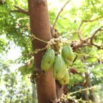 Ensuring EVM Security through Proactive Threat Detection and Response