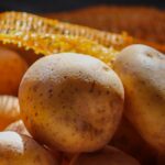 The Future of Agricultural Labor