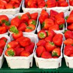 The Impact of Climate Change on Water Resources for Agriculture