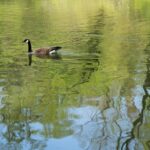 How to Choose the Right Shoes for Your Casual Outfits