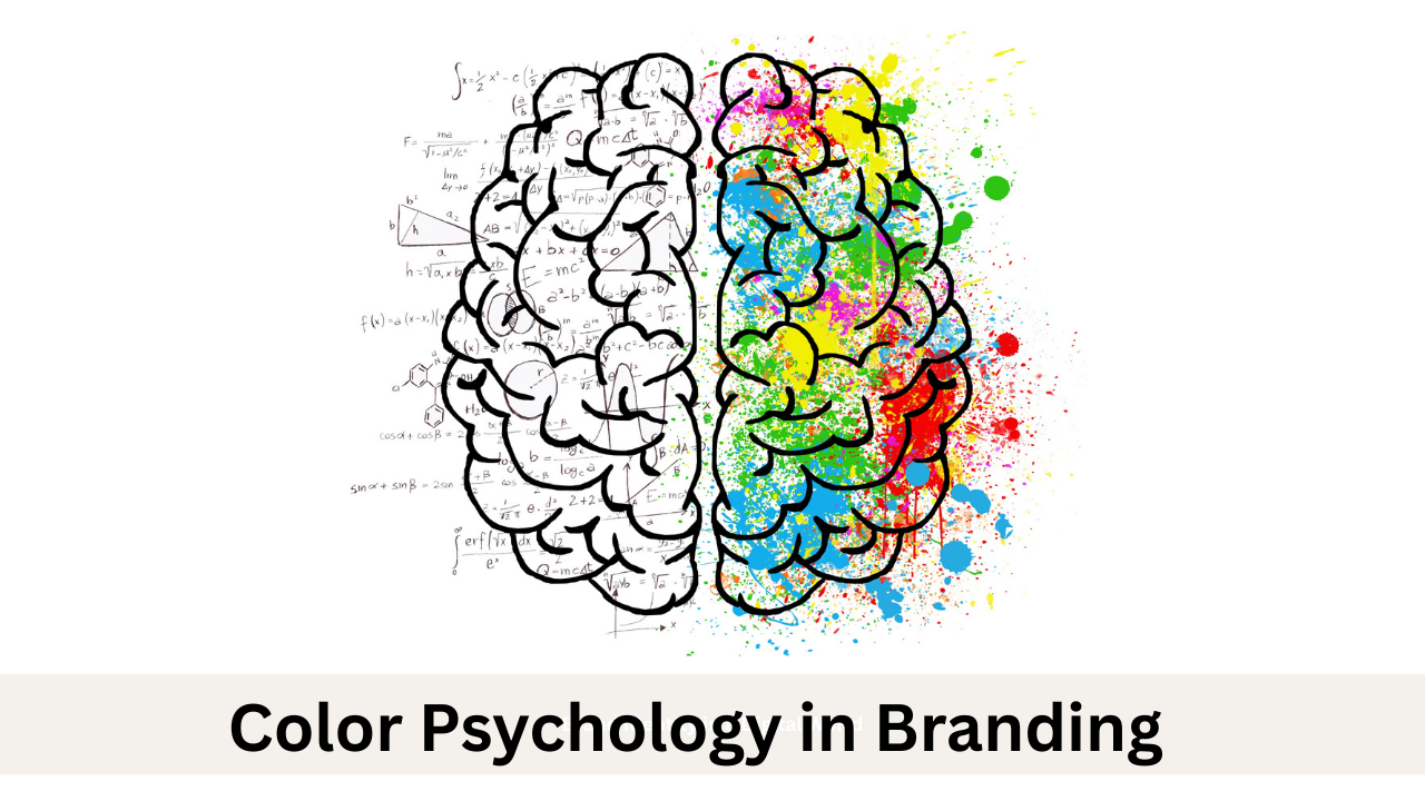 Color Psychology in Branding