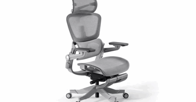 Hinomi Chair Review: Is It the Best Ergonomic Chair in Singapore?