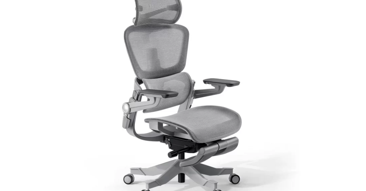 Hinomi Chair Review