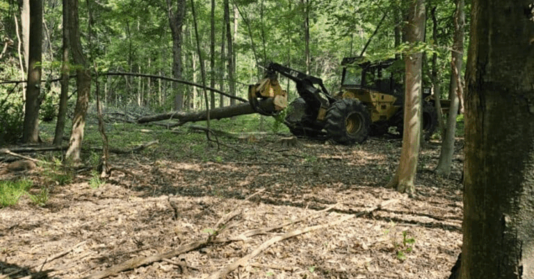 Transform Your Property with Professional Land Clearing Services Near Me